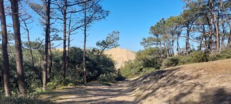 Dune au loin